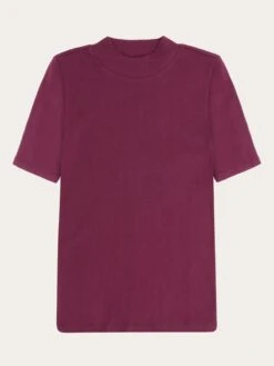 Rib High Neck Short Sleeve - Fig